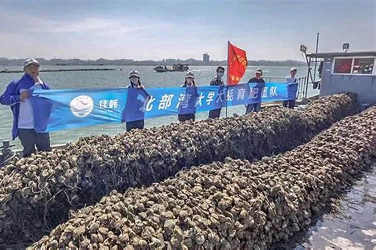 男人吃生蚝有什么好处 生蚝对于男性竟然有5大好处