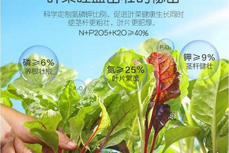 用化肥当营养液种菜可以吃吗