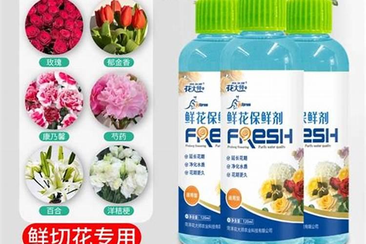 大丽花如何施肥