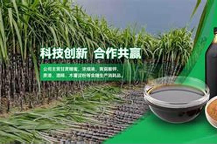鞣酸是什么？