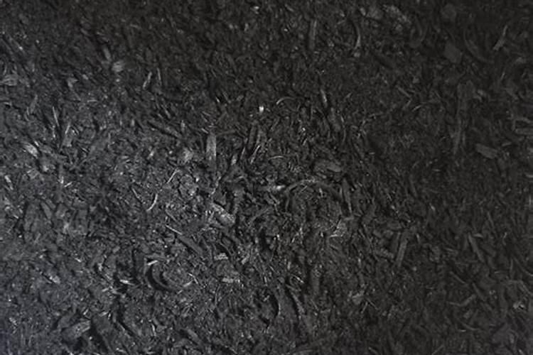 玉米杆烧制的灰该如何给树桩盆景施肥？有什么办法？