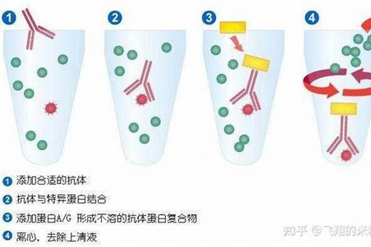 如何开展一个完整的硝化反应
