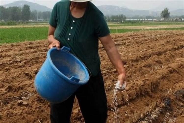 钾肥用什么方法能溶于水快一点还不影响肥效？