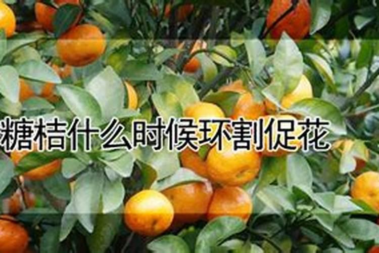 小麦追肥一般用多少什么肥？