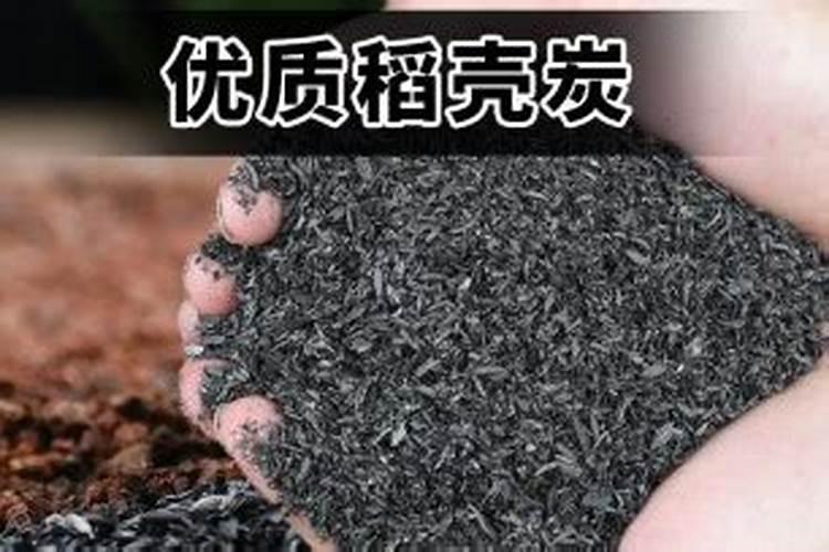 配土方法上盆就活,养花再也不烂根,生活中有哪些配土方法？