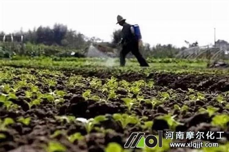 叶面肥喷施后多久不下雨才有效
