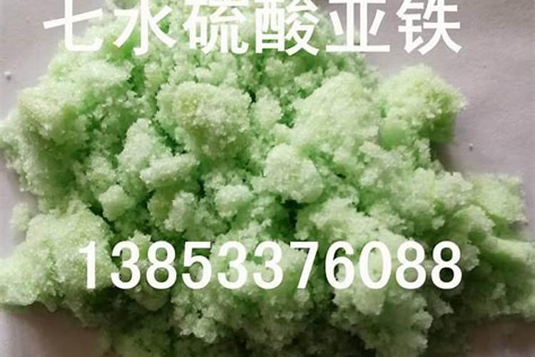 积水凤梨叶子发黄怎么办呢？