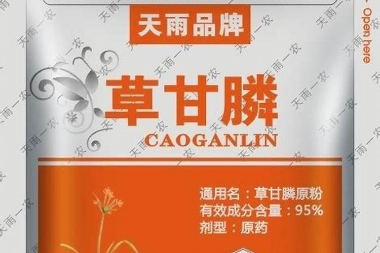种大葱的方法 和步骤