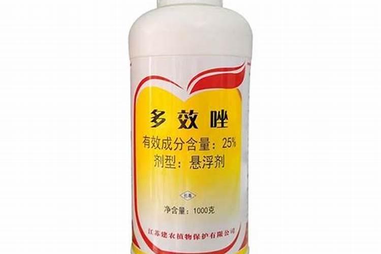 柚子怎么种才能高产