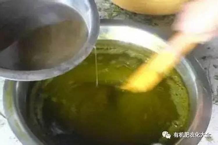 盆栽种菜如何自制肥料(盆栽种菜必备,自制肥料教程,绿色环保又高效...