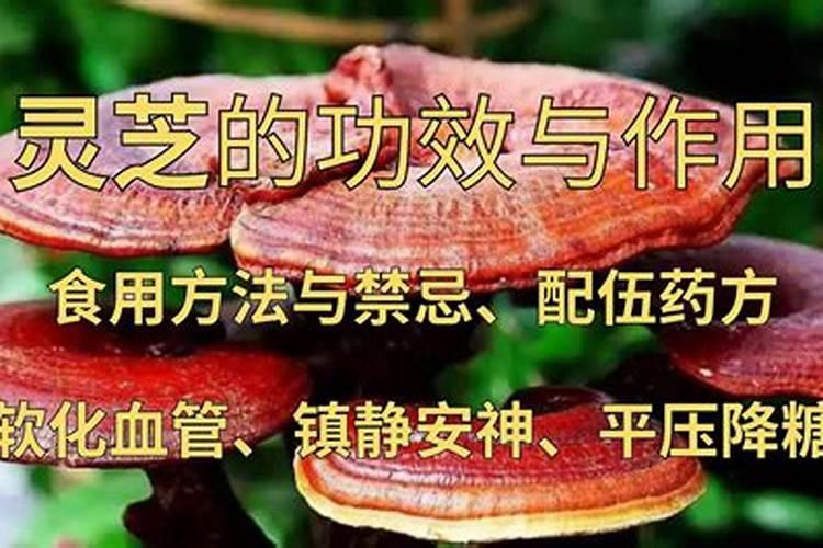 搞农业有“钱途”吗？