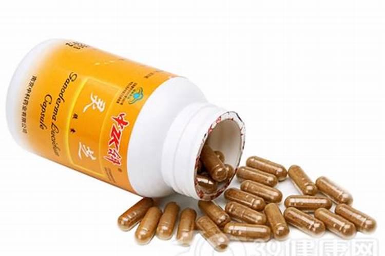 灵芝有哪些特征？