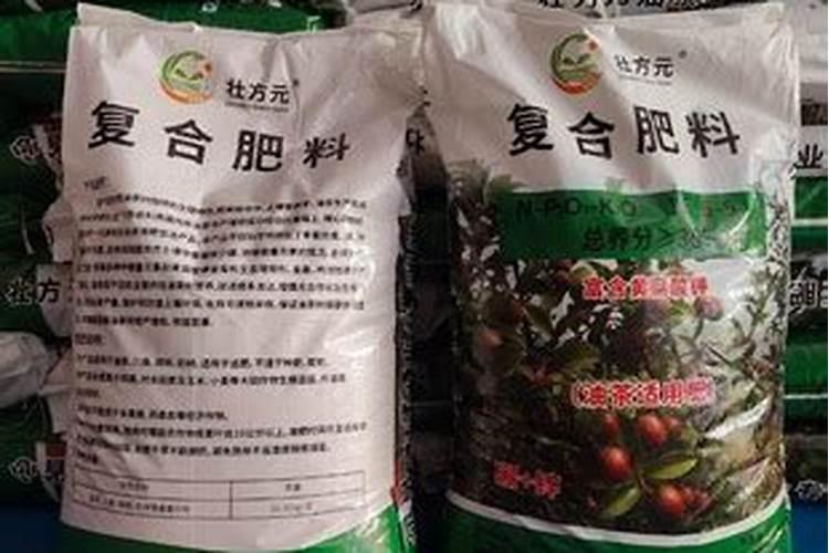 油茶专用肥站稳脚跟不容易