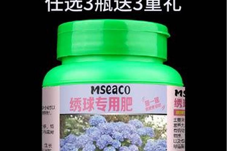 绣球花施什么肥绣球花的施肥方法