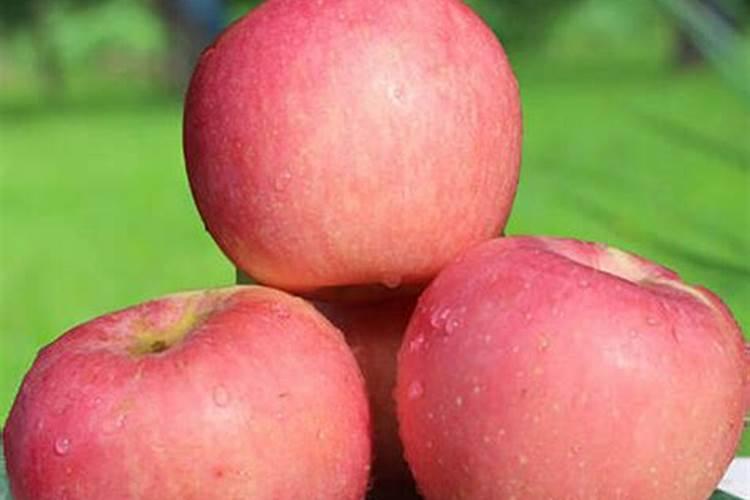 七月份苹果最好施肥方法是什么