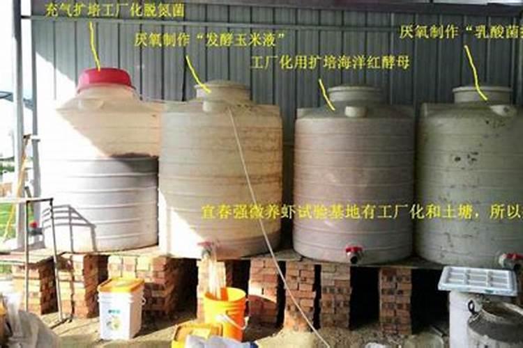 粘玉米发酵做肥料