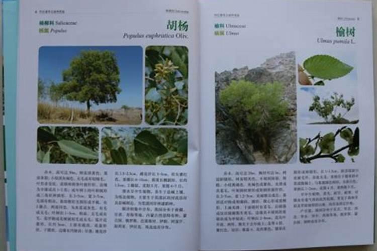 国内比较好水溶肥厂家有哪些