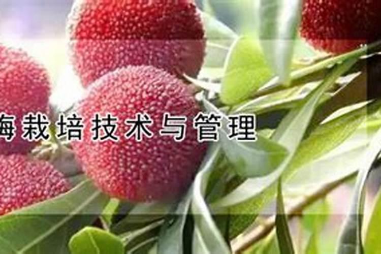 硝硫基复合肥施用需要注意哪些地方？