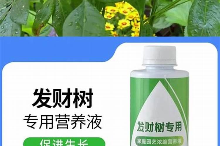 花卉烂根严重,有没有有效的救治药物推荐？