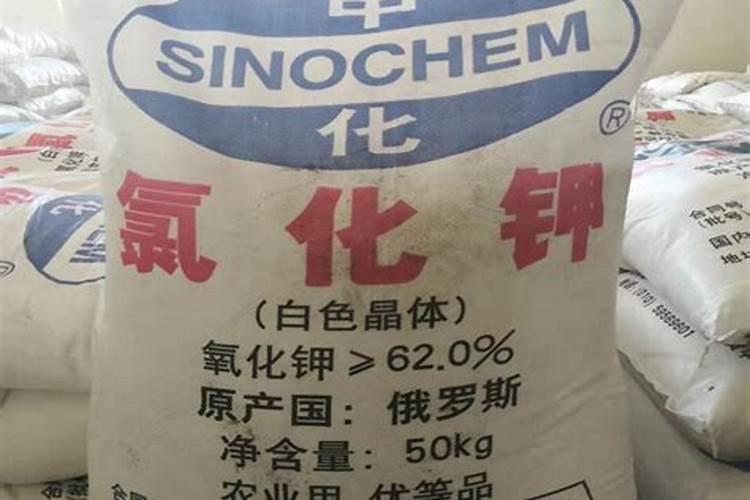 生姜用什么肥料好？