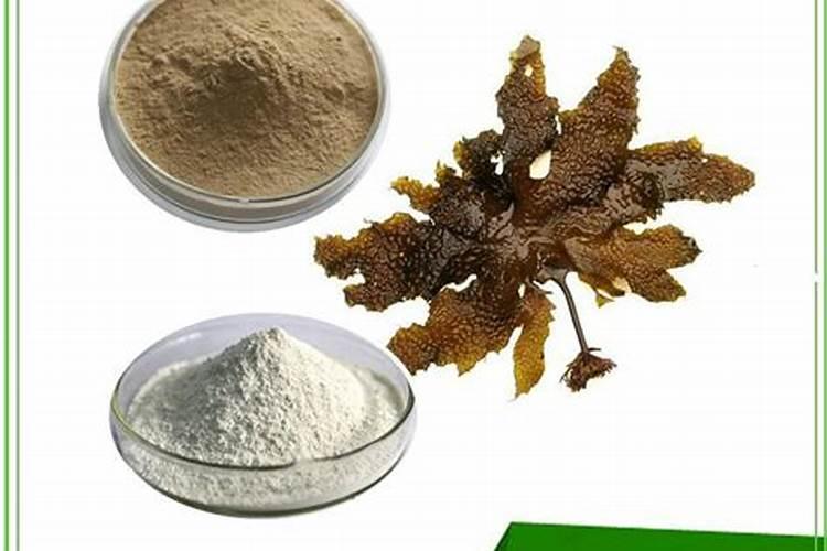 不含农药的黑色水溶肥有哪些