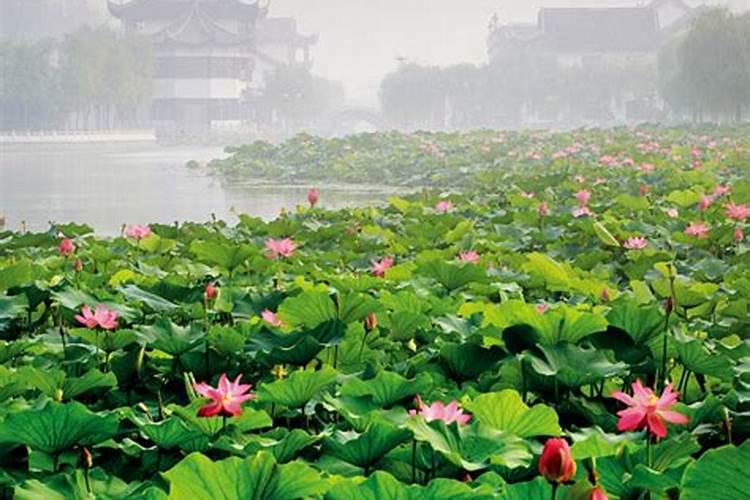 扬州有哪些旅游景点