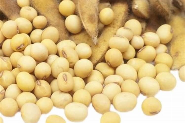 种豆用什么肥料最好