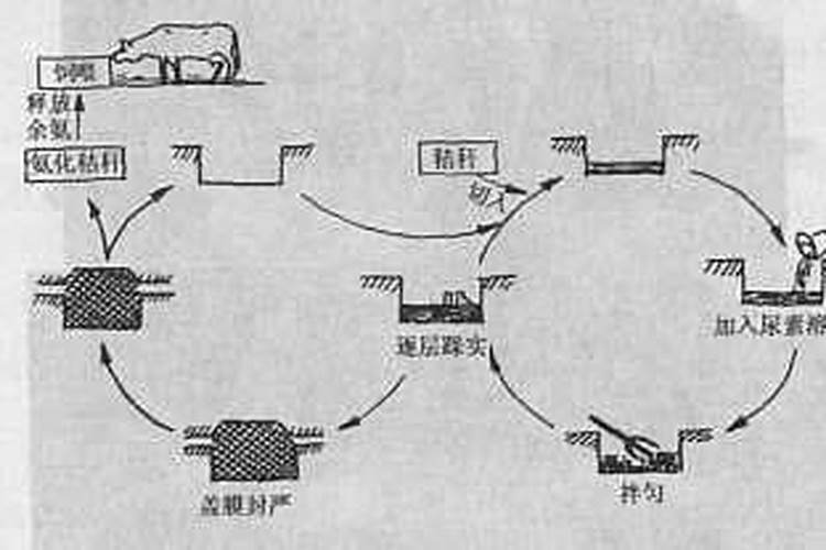 什么是氮肥氮肥的作用