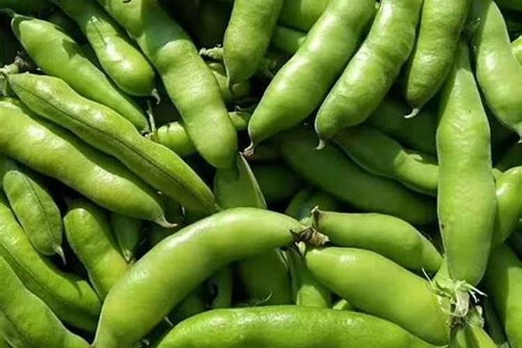 种植毛豆需要施什么肥