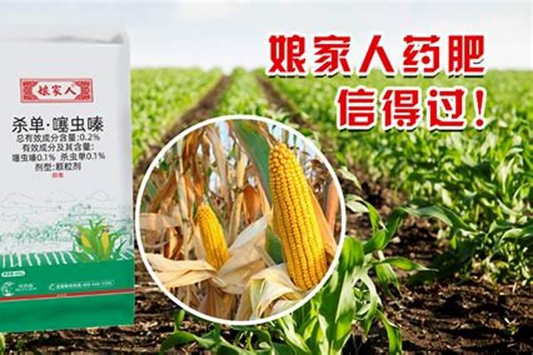 玉米高产所需要的配肥技术是怎样操作的？