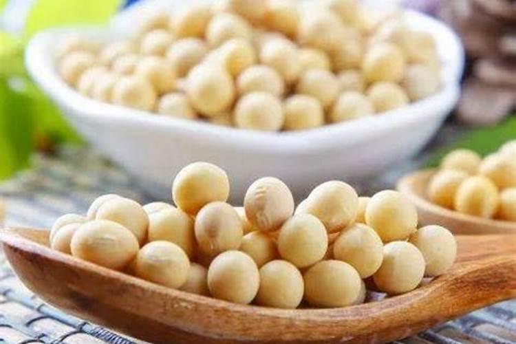大豆含有什么成分？