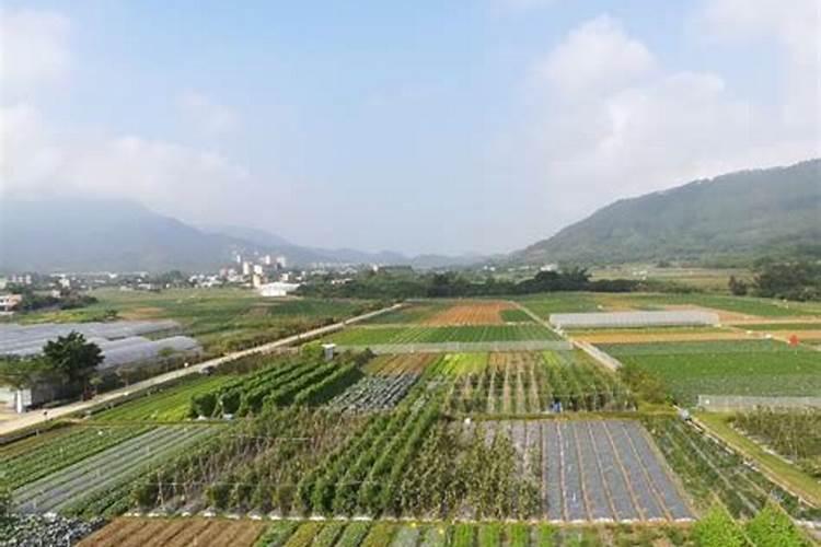 蔬菜 上什么肥料好