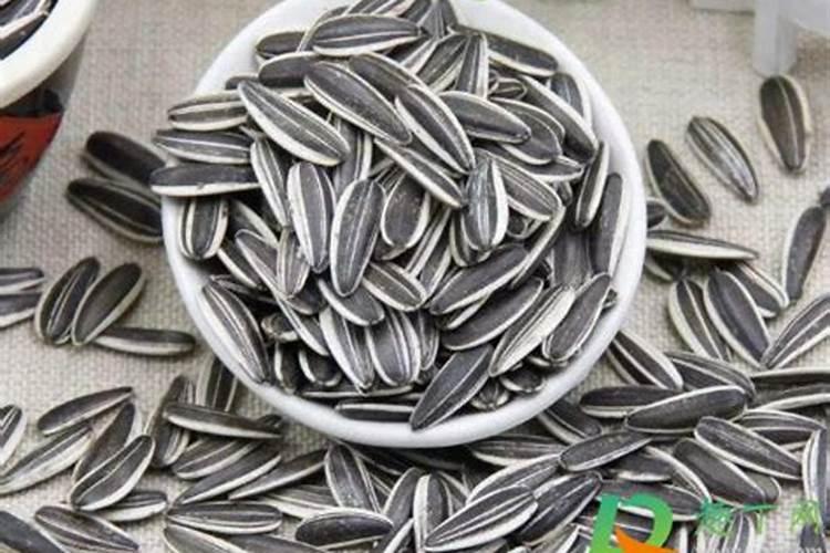 瓜子壳可以当肥料放花盆里吗？