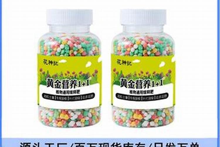 发财树如何施肥