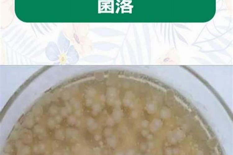 老果农妙用“枯草芽孢杆菌”,加进水溶肥里,效果会怎么样？