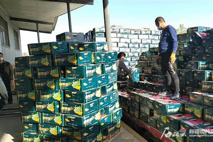 新疆这两年化肥生意如何