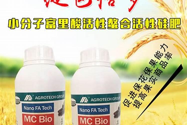 硅肥在不同植物上的应用