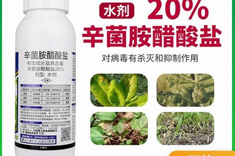 疏菜苗期用什么杀菌剂好