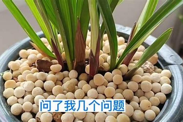 雷雨可使土壤的氮肥增加,是否正确？