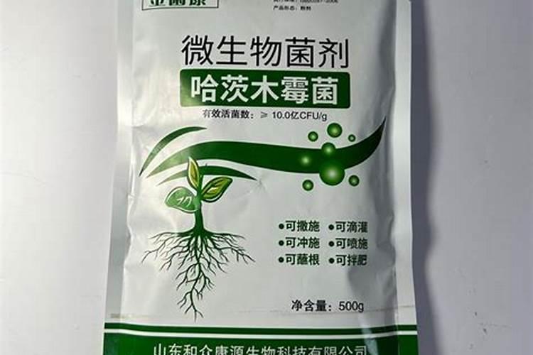 菌肥的作用与使用方法