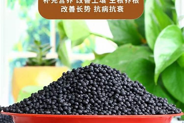 玫瑰花施肥施什么肥料,施肥太多了怎么办