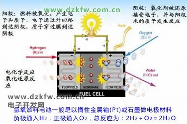 钾盐做什么用