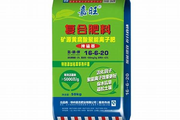 雷竹的施肥最佳时间