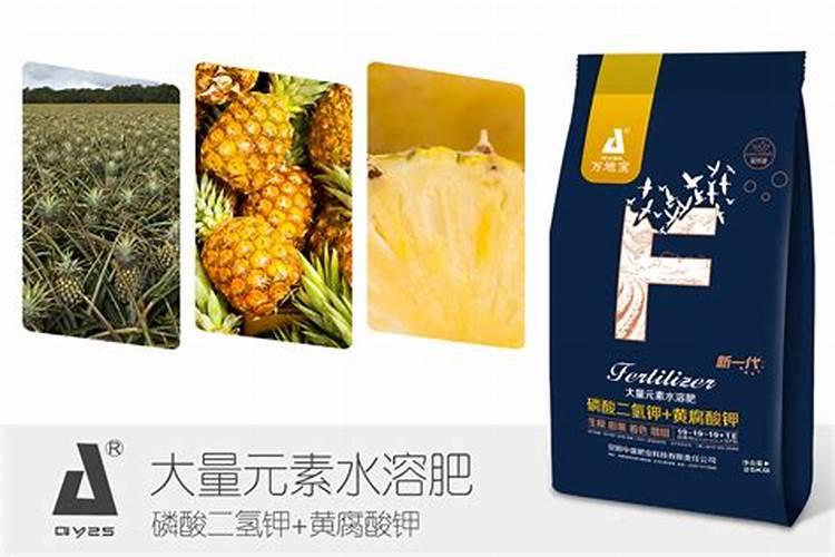 雷竹如何种植能高产