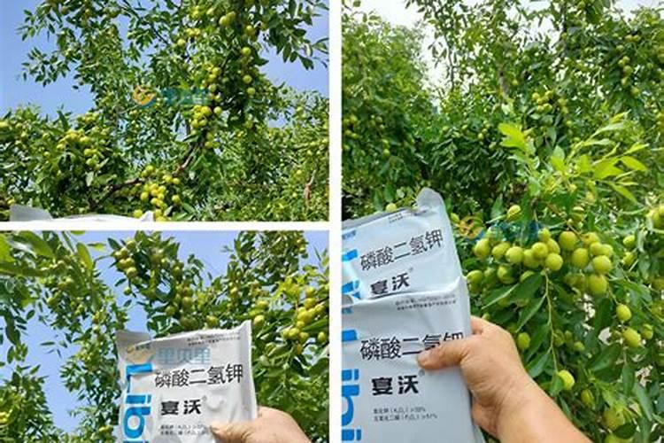 什么叫有机肥,动植物代谢废物以及饼肥(俗称农家肥)