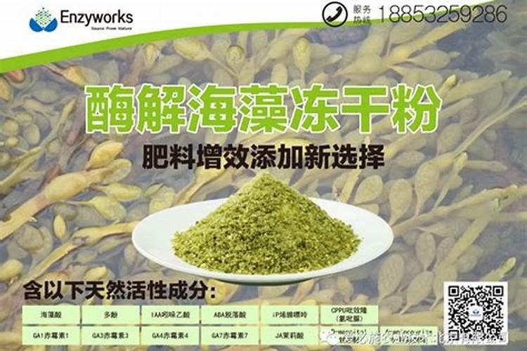 天然 有机氮肥有哪些