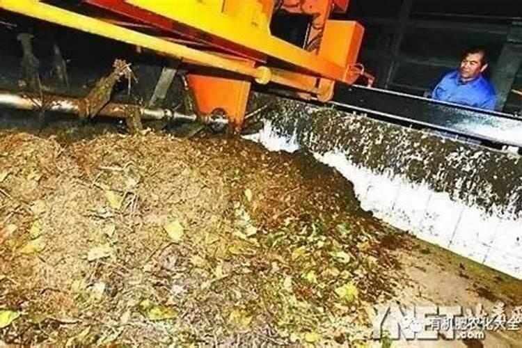 落叶直接埋土里能做肥料吗 树叶如何发酵做成养花肥料