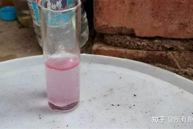 鱼塘水肥不起来的原因