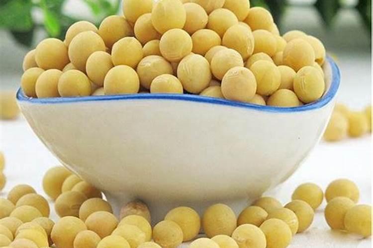 黄豆当肥料施在葡萄秧有什么好处