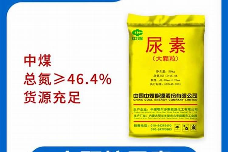 西红柿打什么叶面肥好
